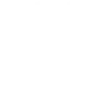 世界を生きる仲間との出会い